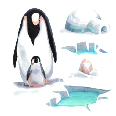 Suluboya penguen ve onun bebek kar buz üzerinde ev deniz bir