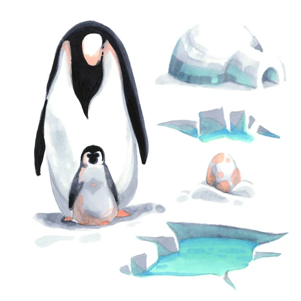 Akwarela pingwina i jego dziecko na śnieg z lodem dom morze — Zdjęcie stockowe