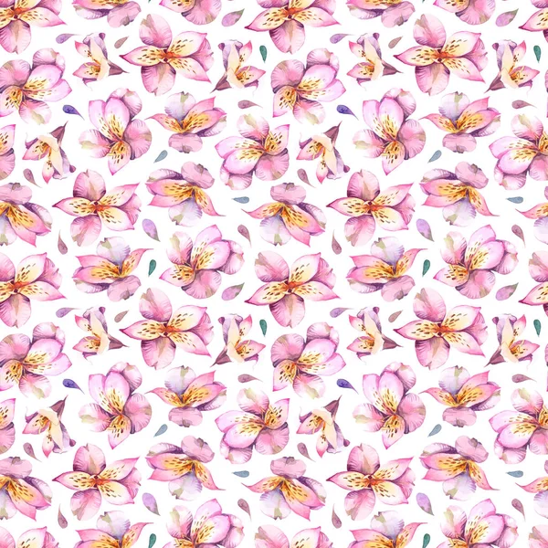 Patrón sin costura de acuarela de flores rosadas sobre fondo blanco . —  Fotos de Stock