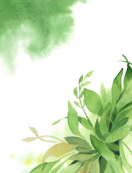 녹색 분 지, 잎 및 스플래시의 수채화 녹색 배경 — 스톡 사진