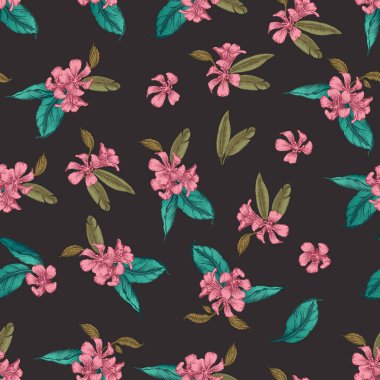 Sorunsuz vektör desen siyah arka plan üzerinde romantik çiçek