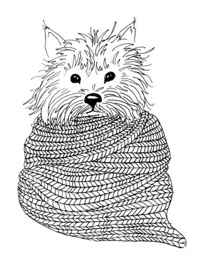 Boyama kitabı için vektör çizim. Köpeğin portre ile knitt