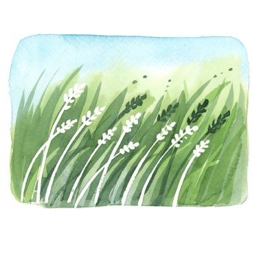 gökyüzü ve çim ile suluboya manzara