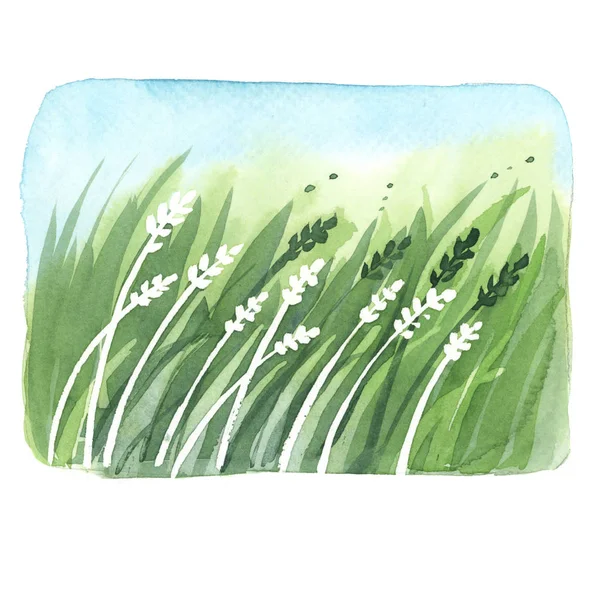 잔디와 하늘 수채화 풍경 — 스톡 사진