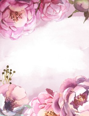 Selamlar c için pembe arka plan üzerine suluboya pembe, gül peonies