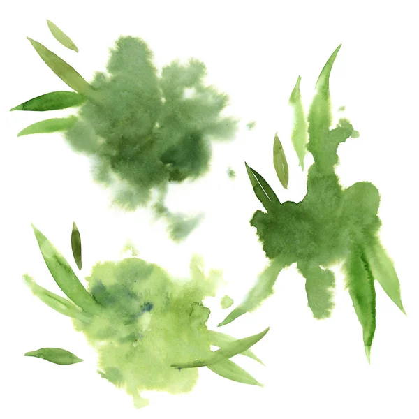 水彩グリーンスプ予測に基づく葉 — ストック写真