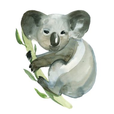 Suluboya koala bambu şube tutuyor