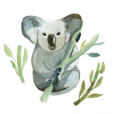 Suluboya koala bambu şube tutuyor