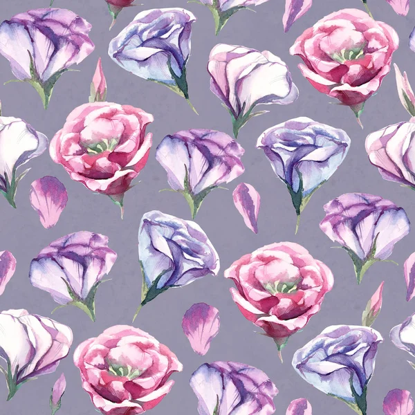 Seamless pattern of watercolor eustoma flower on white backgroun — Stock Photo, Image