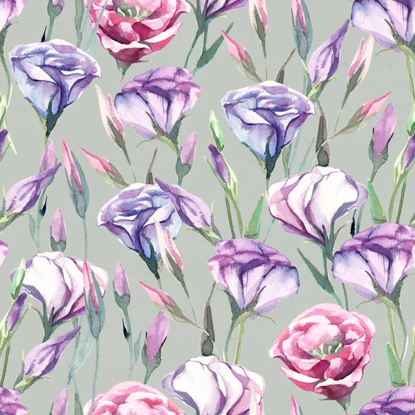 Seamless pattern of watercolor eustoma flower on white backgroun — Stock Photo, Image