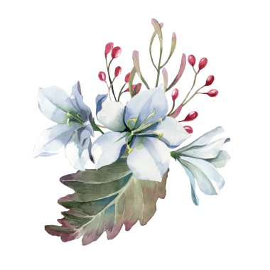 Bir buket beyaz çiçek ve kırmızı böğürtlen.