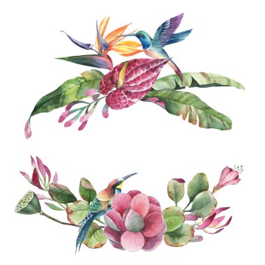 Yeşil yaprakların suluboya buketi pembe ve kırmızı tropik çiçeklerle kolibry kuşları beyaz arka planda izole edilir. Düğün ve davetiye kartları için çiçek unsuru.
