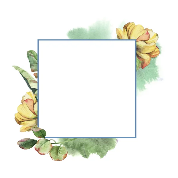 watercolor square frame wreath of yellow peony with green leaves and splash on white background for greetings card