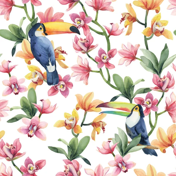 Aquarelle Motif Sans Couture Oiseaux Tropicaux Toucan Avec Des Fleurs — Photo