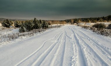 karlı bir ormanda yol.