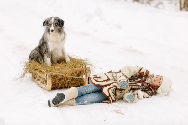 Édes lány gyermek az a bunda és a téli csizma a hó, amelyen a Border Collie kutya ül széna szán mellett Stock Fotó