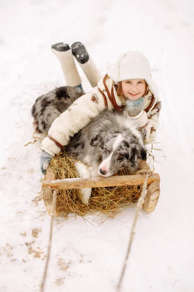 Kislány a bundáját, és a csizma téli kalap a hó a szán a szénát az ő szeretett kutya és mosolyogva Stock Kép