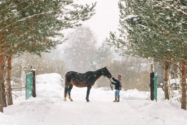 Fiatal lány gyermek bundáját és télen a hó egy ló a kapu előtt állt, és az orrát simogatva sál Stock Kép