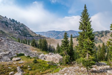 Dağ tepenin üst kısmında Teton Village