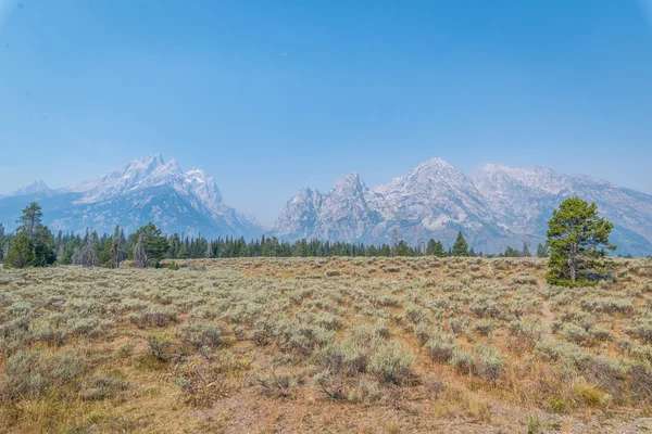 Große Tetonberge — Stockfoto