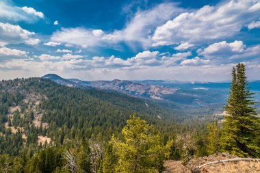 Mt. Washburn Yellowstone Milli Parkı'nda görünümünden