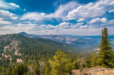 View from Mt. Washburn in Yellowstone National Park clipart