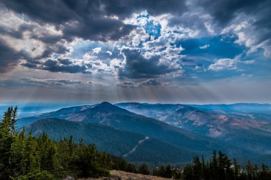 Mt. Washburn Yellowstone Milli Parkı'nda görünümünden