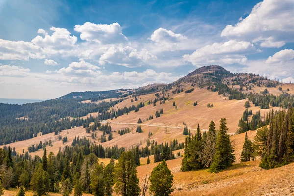 Uitzicht vanaf Mt. Washburn in Yellowstone National Park — Stockfoto