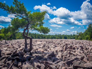 Boulder alan Hickory Çalıştır Devlet Parkı içinde