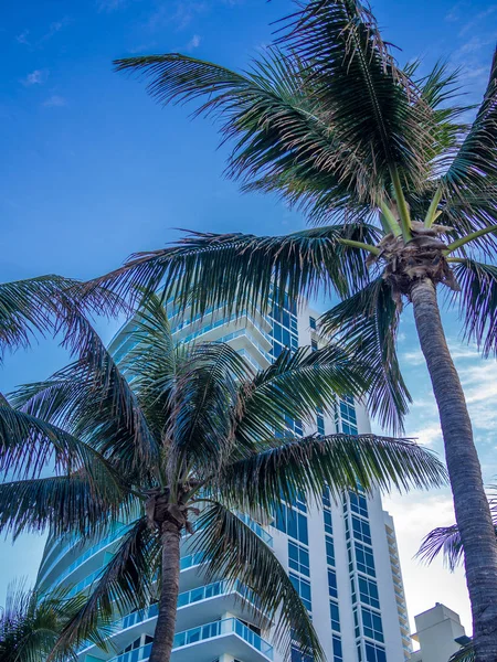 Costruzione alta al resort tropicale — Foto Stock
