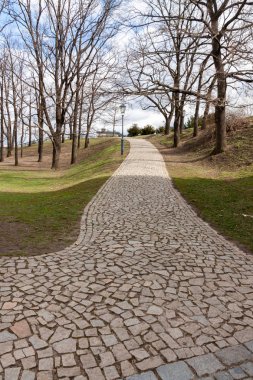 Baharda ya da sonbaharda kaldırım taşları olan bir bahçe.