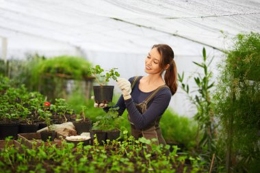 Anne ve kızı büyüyen bitkiler sera içinde