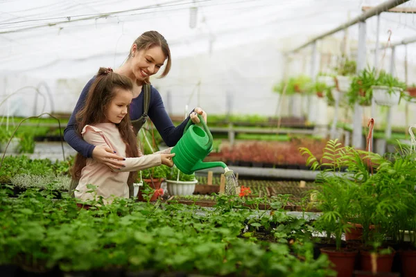 Moeder en dochter kweken van planten in kas — Stockfoto