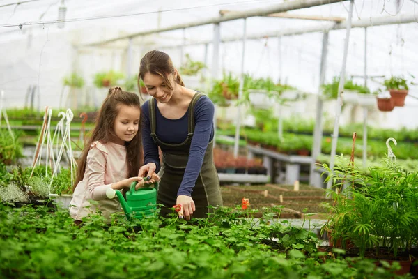 Moeder en dochter kweken van planten in kas — Stockfoto