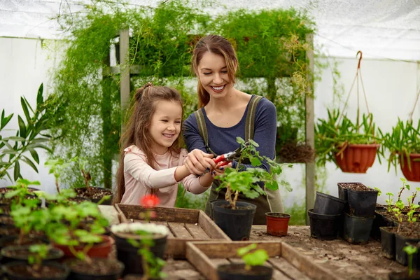 Mère et fille cultivant des plantes en serre — Photo