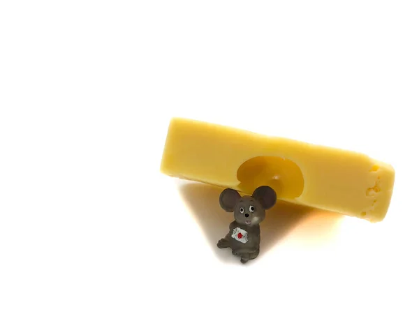 Mouse with cheese isolated on a white background. Composition of mouse and cheese. Mouse and cheese