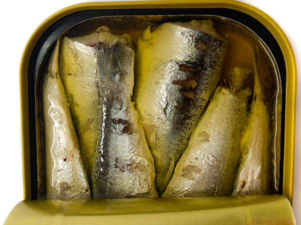 Sardines Isolated White Background Sardines Tin Can Tin Can Fish — Stock Photo, Image
