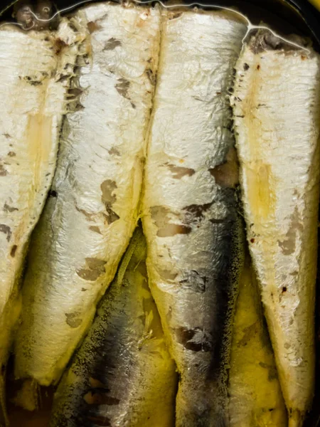 Background of sardines. Fish background.