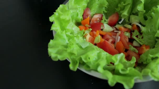 Ο σεφ προσθέτει τα υλικά σε ένα μπολ σαλάτα — Αρχείο Βίντεο