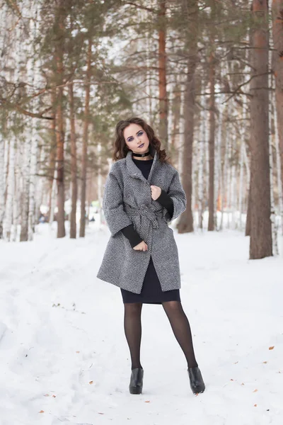 Das Mädchen mit dem Make-up im Winter-Porträt — Stockfoto