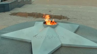 İkinci Dünya Savaşı'nın meçhul asker Anıtı mezarını ebedi ateşe yakın kırmızı çiçekler yatıyordu