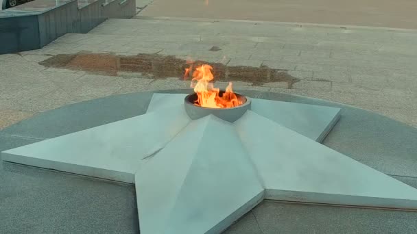 Des fleurs rouges reposent près du feu éternel sur la tombe commémorative d'un soldat inconnu de la Seconde Guerre mondiale — Video