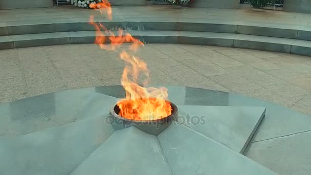 Flores vermelhas põem perto do fogo eterno na sepultura comemorativa do soldado desconhecido da Segunda Guerra Mundial — Vídeo de Stock