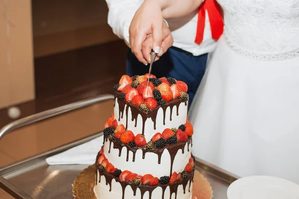 エレガントな人かなり若い新郎新婦ウェディング ケーキをカット — ストック写真