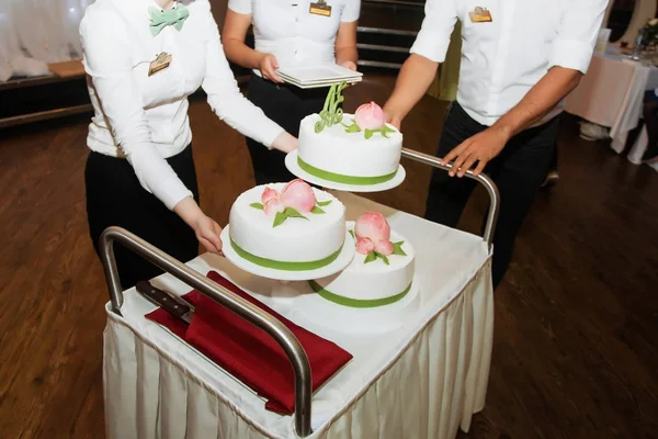 Elegante bastante joven novia y novio cortar el pastel de boda —  Fotos de Stock