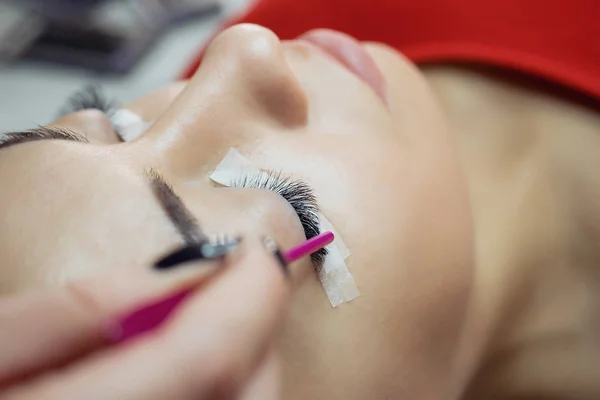 Eyelash Extension Procedure. Woman Eye with Long Eyelashes.