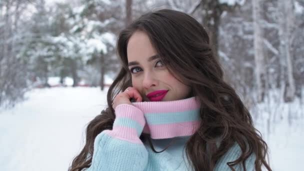 Mulher bonita no campo nevado — Vídeo de Stock