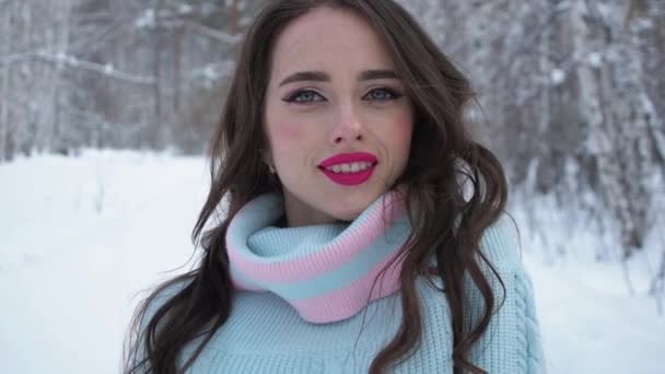 Hermosa mujer en el campo nevado — Vídeo de stock