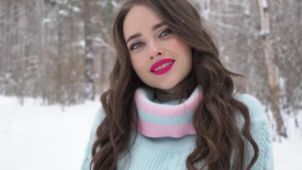 Beautiful woman in snowy countryside — Stock Video