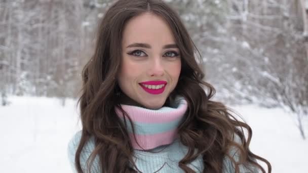 Beautiful woman in snowy countryside — Stock Video